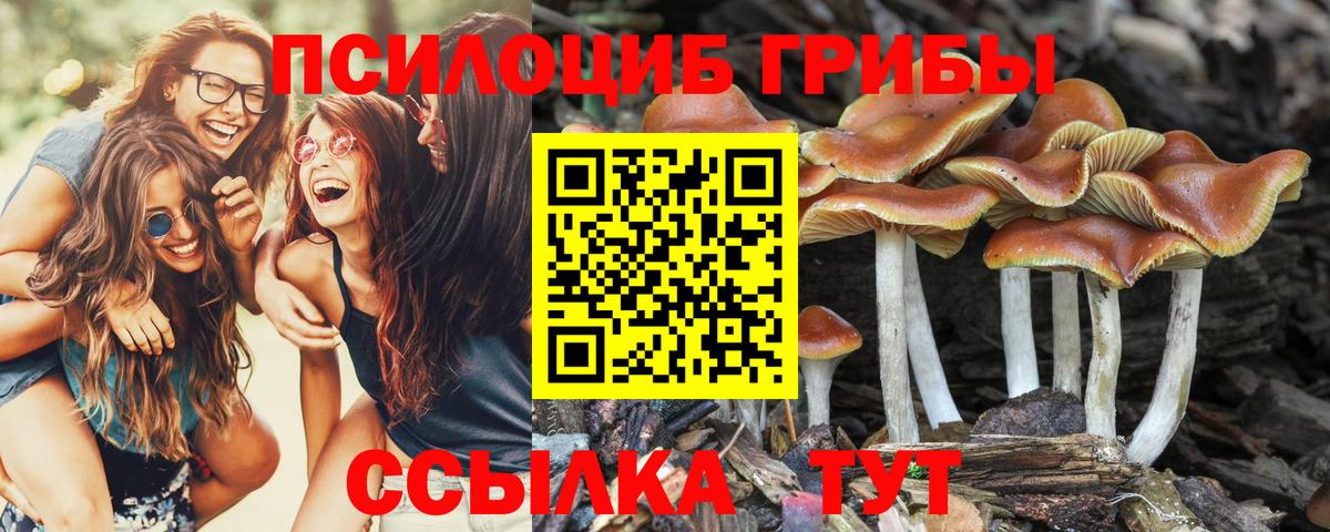 Псилоцибиновые грибы Psilocybine cubensis  Галлюциногенные грибы Cubensis  закладки  Вход с VPN  Елизово 